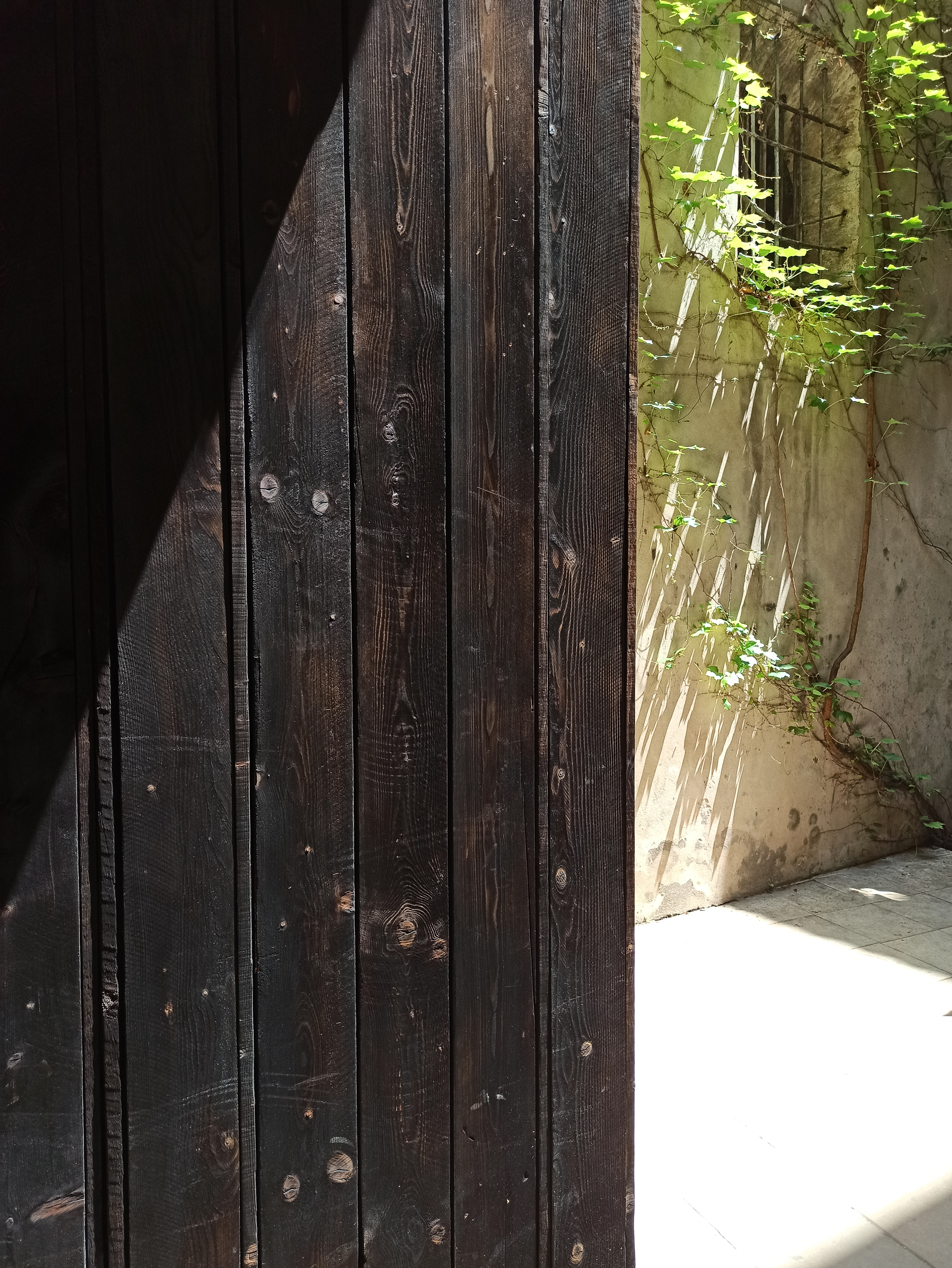 Photo projet bois brûlé